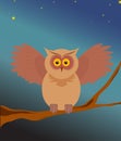 Perturbed owl Royalty Free Stock Photo