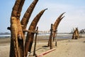 Peru Chiclayo tropical beaches with artisanal reed fishing boats