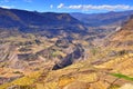 Peru Colca Valley, Terrace Cultivation. Royalty Free Stock Photo