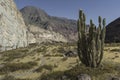 Peru, Cotahuasi canyon. The wolds deepest canyon.