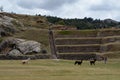 Peru,Cusco.Sasayhuaman, ancient military fortress of the Inca