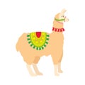 peru llama illustration