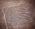 Peru Nazca aerial view of the Nazca lines