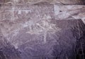 Peru Nazca aerial view of Nasca lines archaeological site culture shape hummingbird