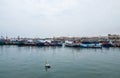 Pelican floating in front of a line of boats at Paracas port Peru