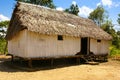 Peru, Peruvian Amazonas landscape. The photo present typical ind Royalty Free Stock Photo