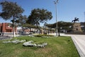 Peru Pisco main square with garden with flowers old municipality of Lima