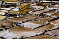 Peru, Salinas de Maras, Pre Inca traditional salt mine (salinas). Royalty Free Stock Photo