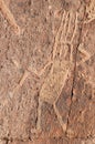 Peru, Toro Muerto Petroglyphs Royalty Free Stock Photo