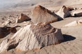 Peru, Toro Muerto Petroglyphs