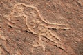 Peru, Toro Muerto Petroglyphs
