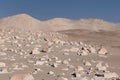 Peru, Toro Muerto Petroglyphs