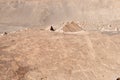 Peru, Toro Muerto Petroglyphs