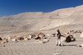 Peru, Tourist on the desert watching Toro Muerto Petroglyphs