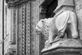 Perugia: Priori Palace statue detail. Black and white photo