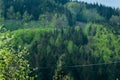 Perun Sky Marathon. Runners in climb on Javorovy Hill