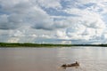 Peruvian Amazonas, Amazon river landscape Royalty Free Stock Photo