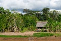 Peruvian Amazonas, Indian settlement