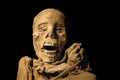 Peruvian ancient inca mummy Royalty Free Stock Photo