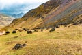 Peruvian Andes amazing trekking day South America