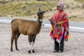 A Peruvian boy holding a llama in the Puno region of Peru. Royalty Free Stock Photo