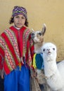 A Peruvian boy with llamas in Cusco in Peru. Royalty Free Stock Photo
