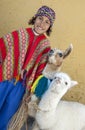 A Peruvian boy with llamas in Cusco in Peru. Royalty Free Stock Photo