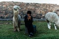 Peruvian boy sitting with llamas Royalty Free Stock Photo