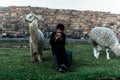Peruvian boy sitting with llamas Royalty Free Stock Photo