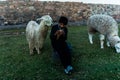 Peruvian boy sitting with llamas Royalty Free Stock Photo