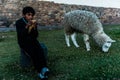 Peruvian boy sitting with llamas Royalty Free Stock Photo