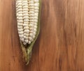 Peruvian corn Royalty Free Stock Photo