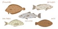 Peruvian fish set in flat. Flounder, corvina, sea bass, sole, grouper on white background. Royalty Free Stock Photo