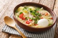 Peruvian food Caldo de Gallina chicken noodle soup with boiled egg and herbs close-up in a plate. horizontal Royalty Free Stock Photo