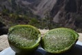 Green Cactus Pear, Colca Canyon Royalty Free Stock Photo