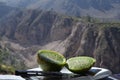 Green Cactus Pear, Colca Canyon Royalty Free Stock Photo