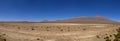 Peruvian highland, lake and vicuÃÂ±as