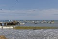 The Peruvian Inshore Fishing Fleet moored up next to the wooden pier at Mancora