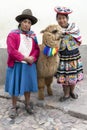 Peruvian ladies with a llama in Cusco in Peru.