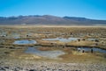 Peruvian Landscape with a Herd of Llamas Royalty Free Stock Photo