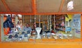 Peruvian market stall