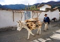 Peruvian muleskinner and farmer brings his wares to the local city market for sale