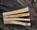 Peruvian Palo Santo holy wood incense sticks on fibrous tree bark in forest. Smudging ceremony.