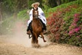 Peruvian Paso Horse demostration on Peru