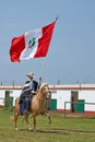 Peruvian Paso Horse and Flag