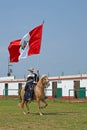 Peruvian Paso Horse and Flag