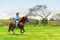 Peruvian Paso Horse and Rider