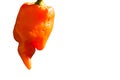 Peruvian red pepper