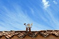 Peruvian roof ornaments folk
