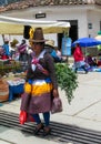 Peruvian woman at the food market Royalty Free Stock Photo